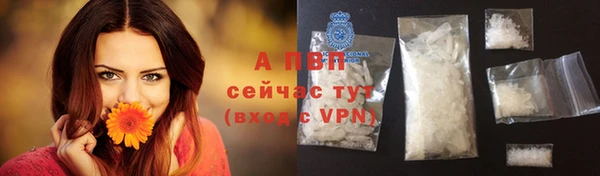 ПСИЛОЦИБИНОВЫЕ ГРИБЫ Кукмор