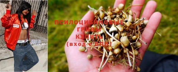 ешки Краснотурьинск