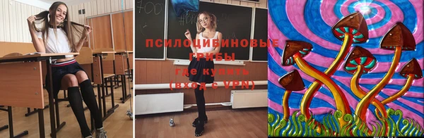 ПСИЛОЦИБИНОВЫЕ ГРИБЫ Кукмор