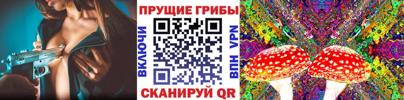 купить наркотик  Чегем  Галлюциногенные грибы мицелий 